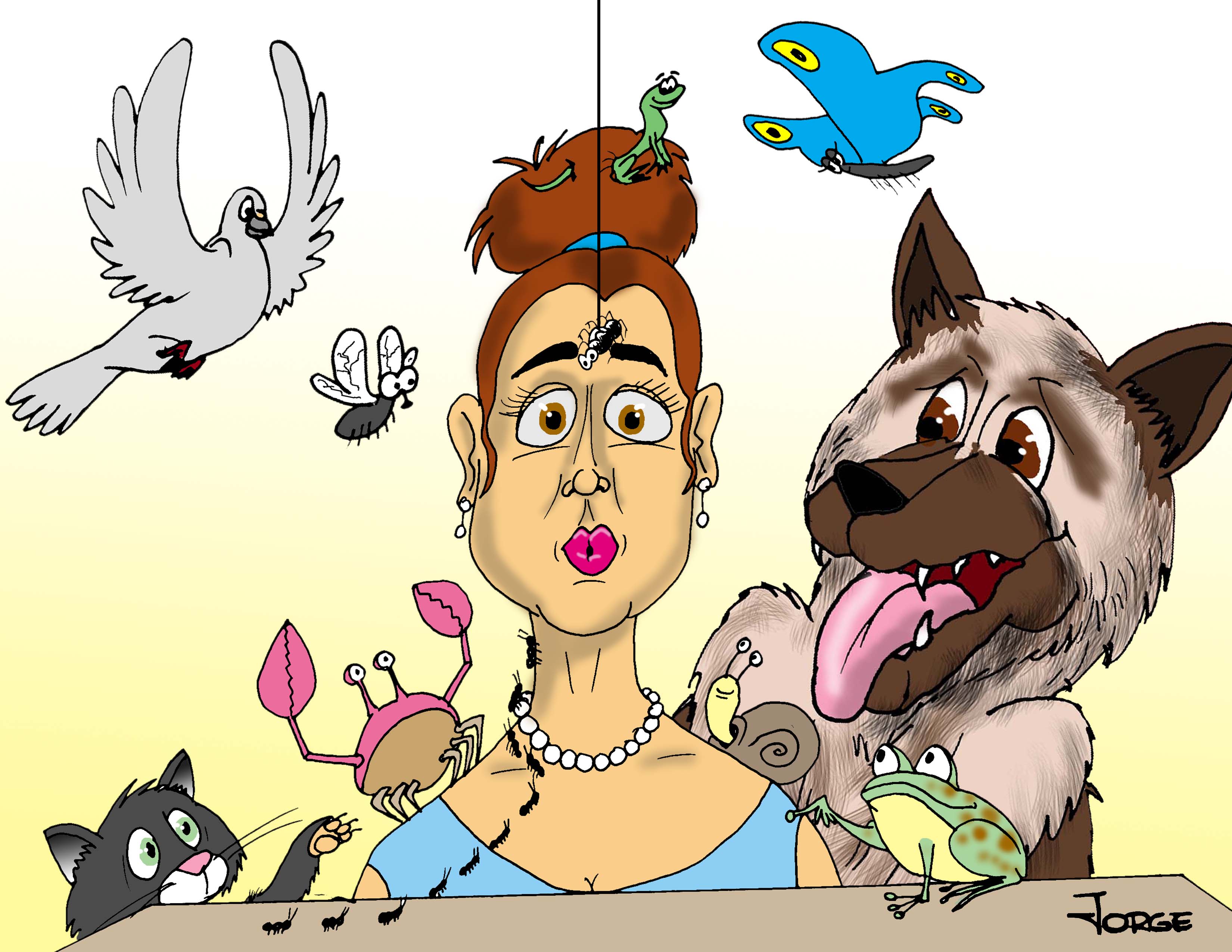  Minijungla doméstica